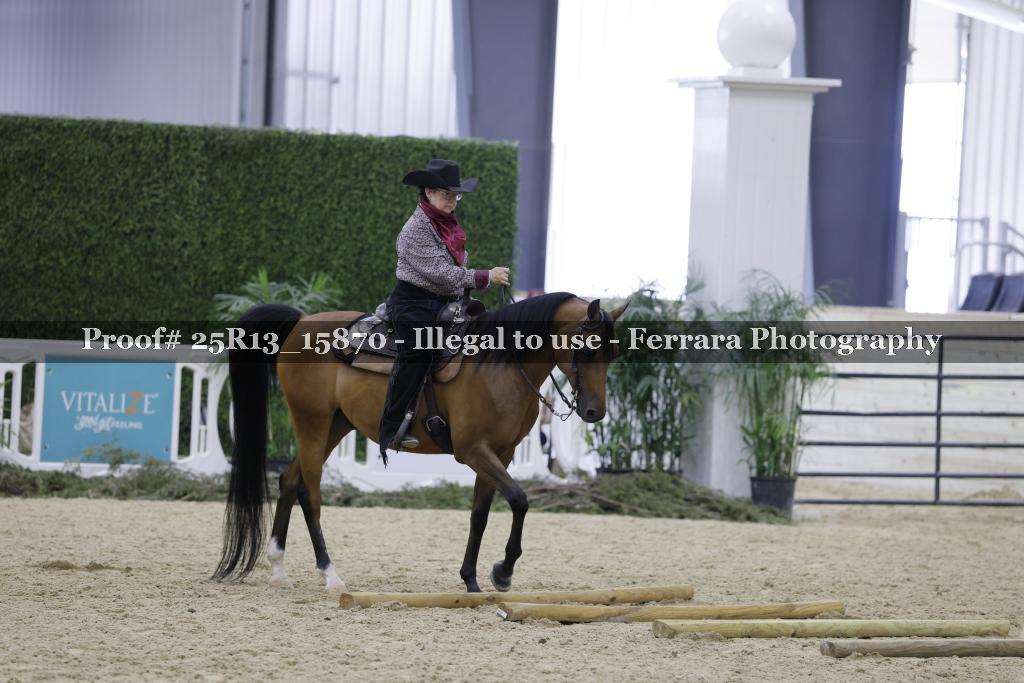 Proof 25R13_15870