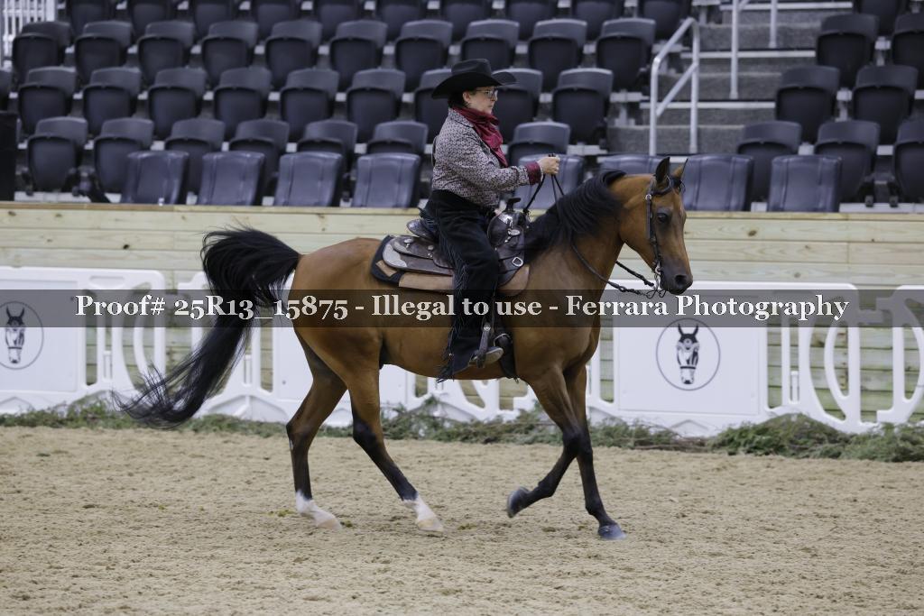 Proof 25R13_15875