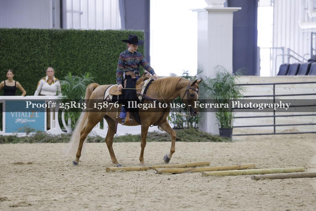 Proof 25R13_15876