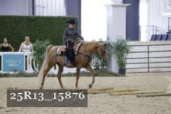 25R13_15876 proof