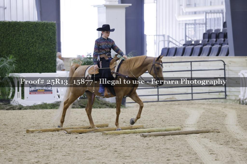Proof 25R13_15877