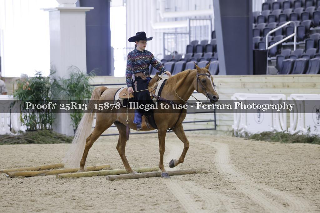 Proof 25R13_15878