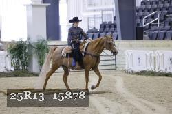 25R13_15878 proof