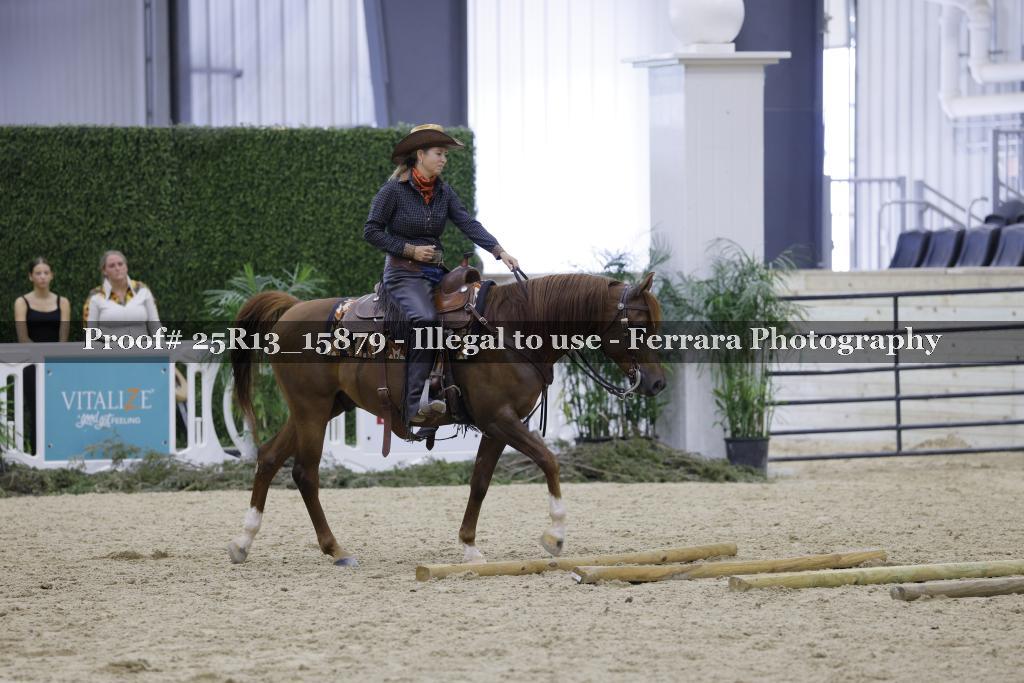 Proof 25R13_15879