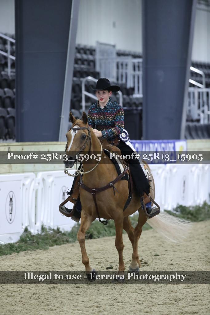 Proof 25R13_15905