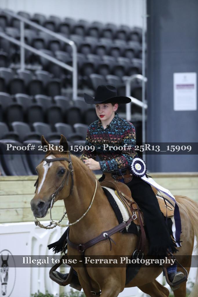 Proof 25R13_15909