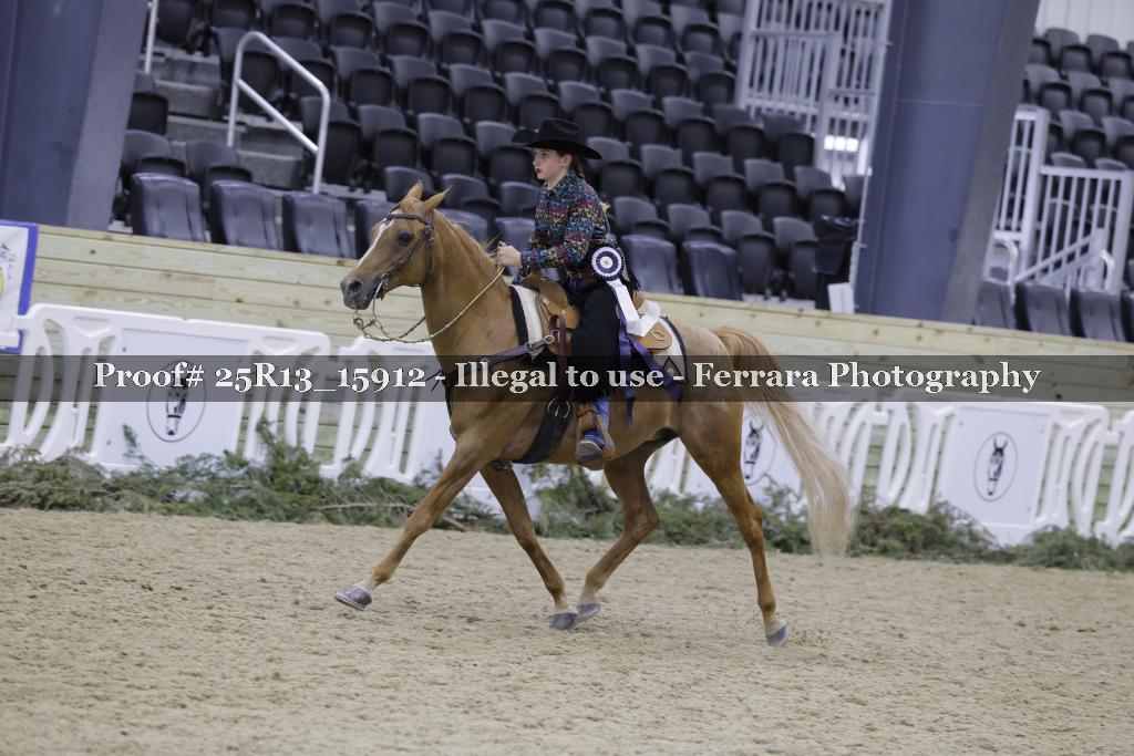 Proof 25R13_15912