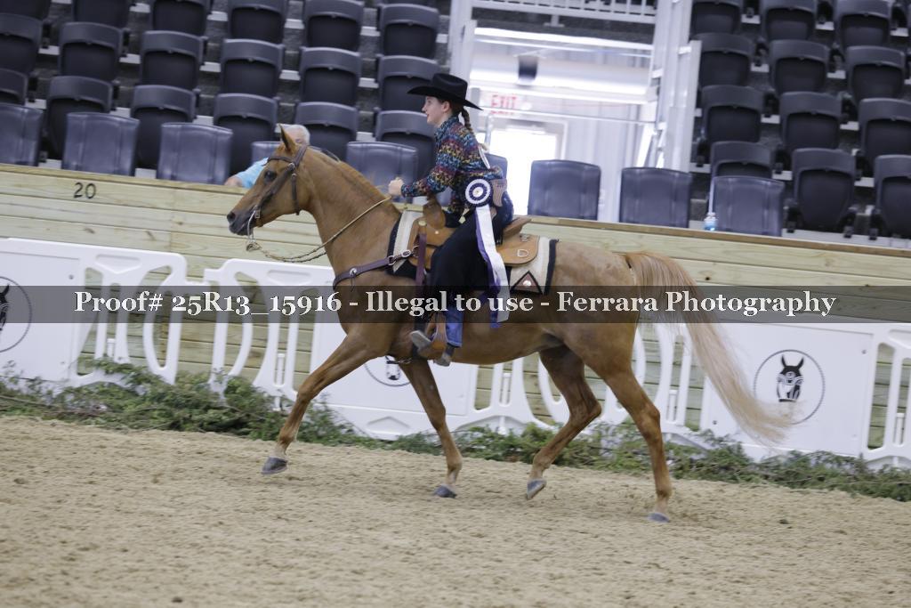 Proof 25R13_15916