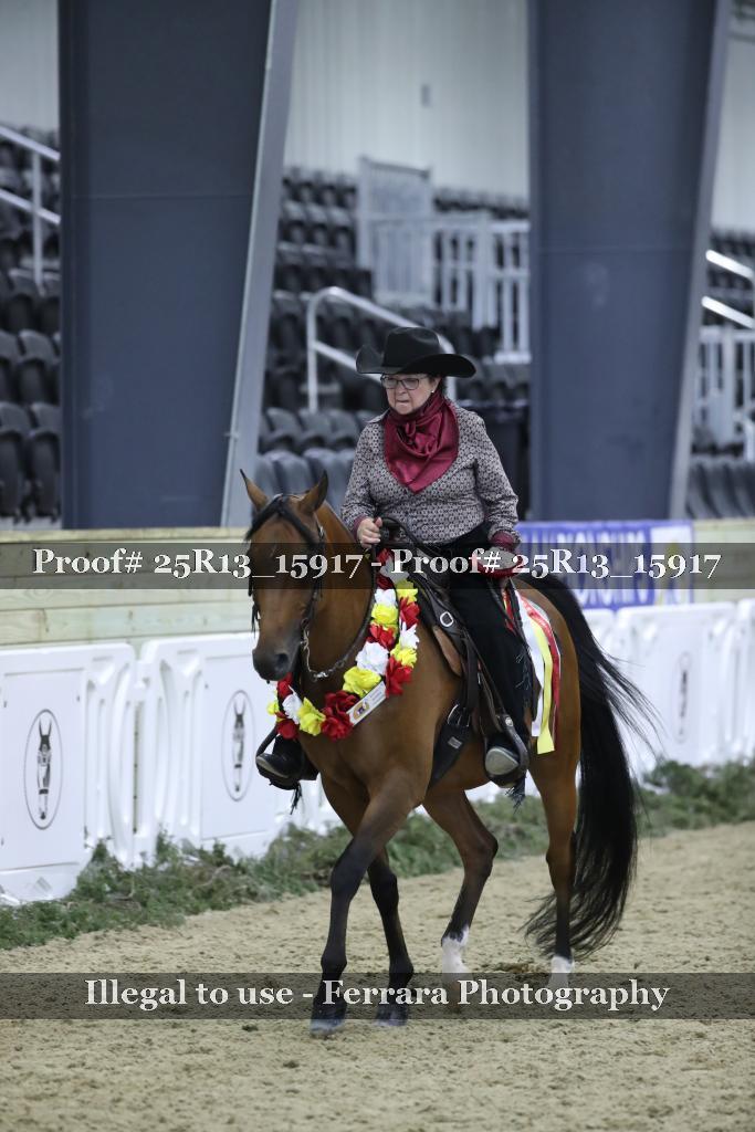 Proof 25R13_15917