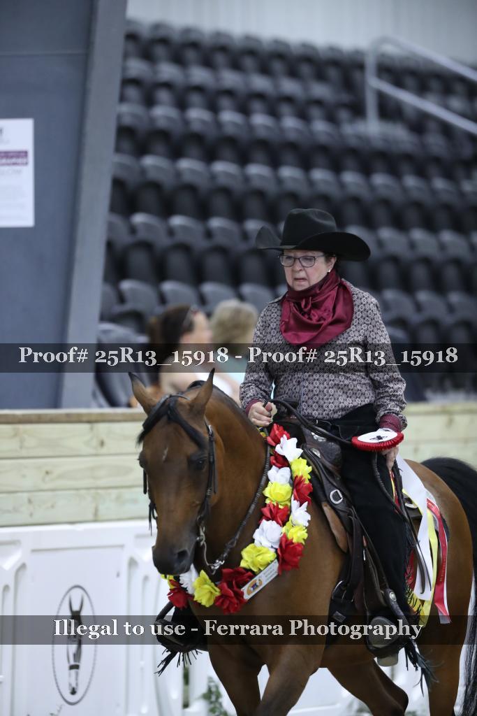 Proof 25R13_15918