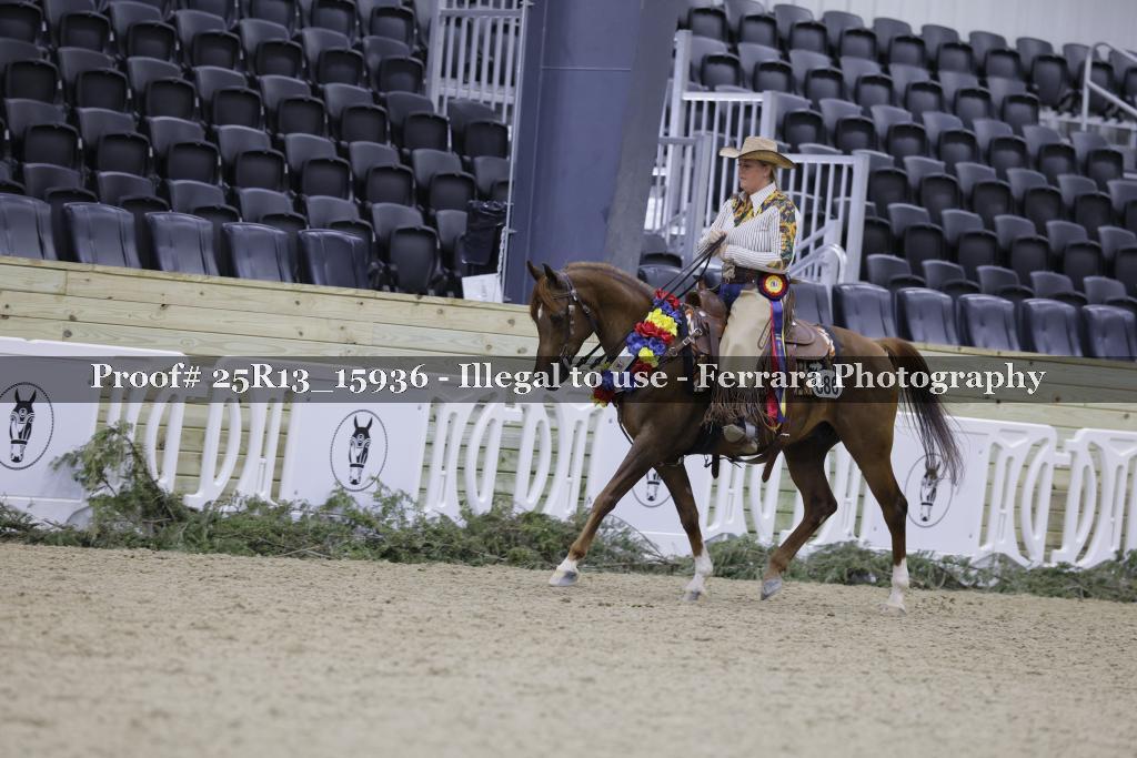 Proof 25R13_15936