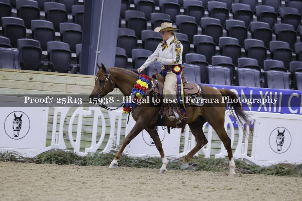 Proof 25R13_15938
