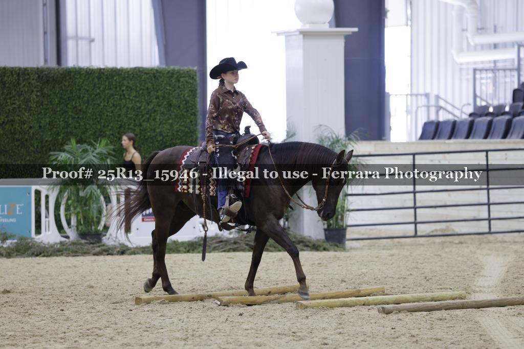 Proof 25R13_15946