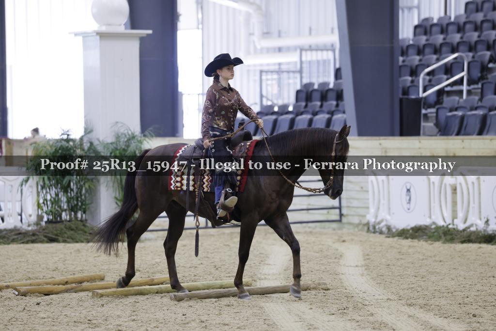 Proof 25R13_15947
