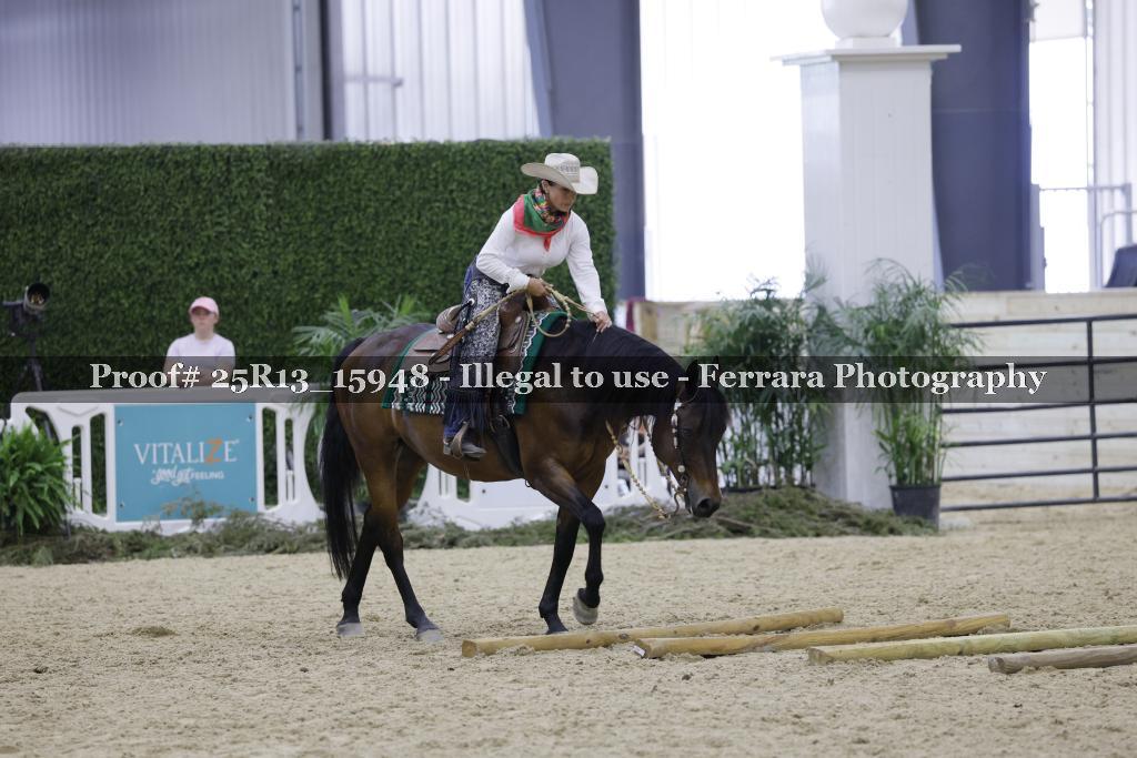 Proof 25R13_15948