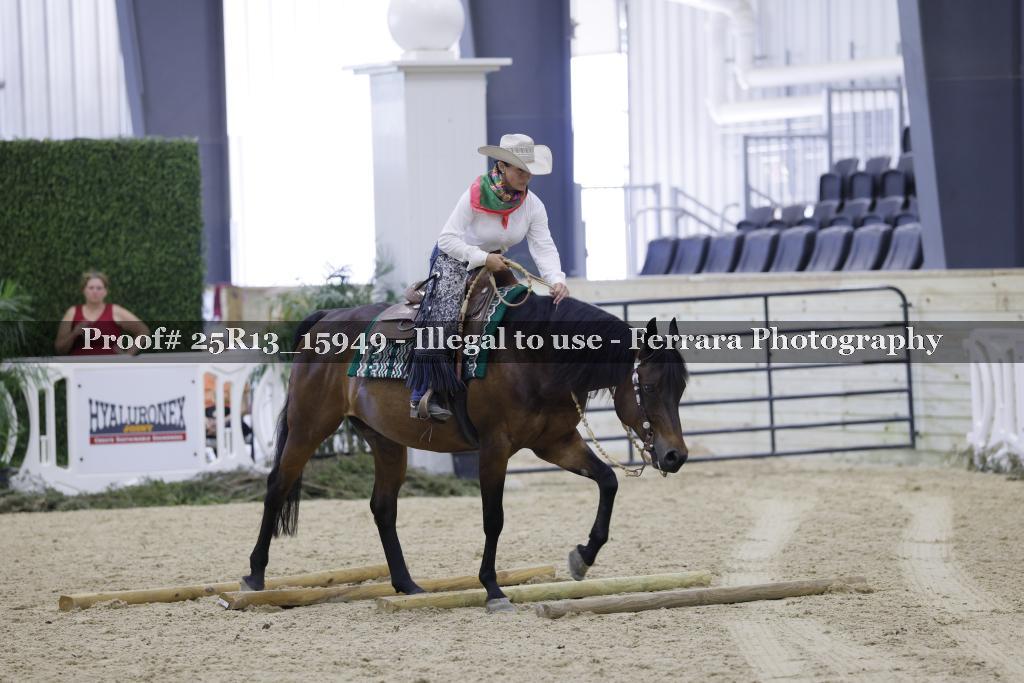 Proof 25R13_15949