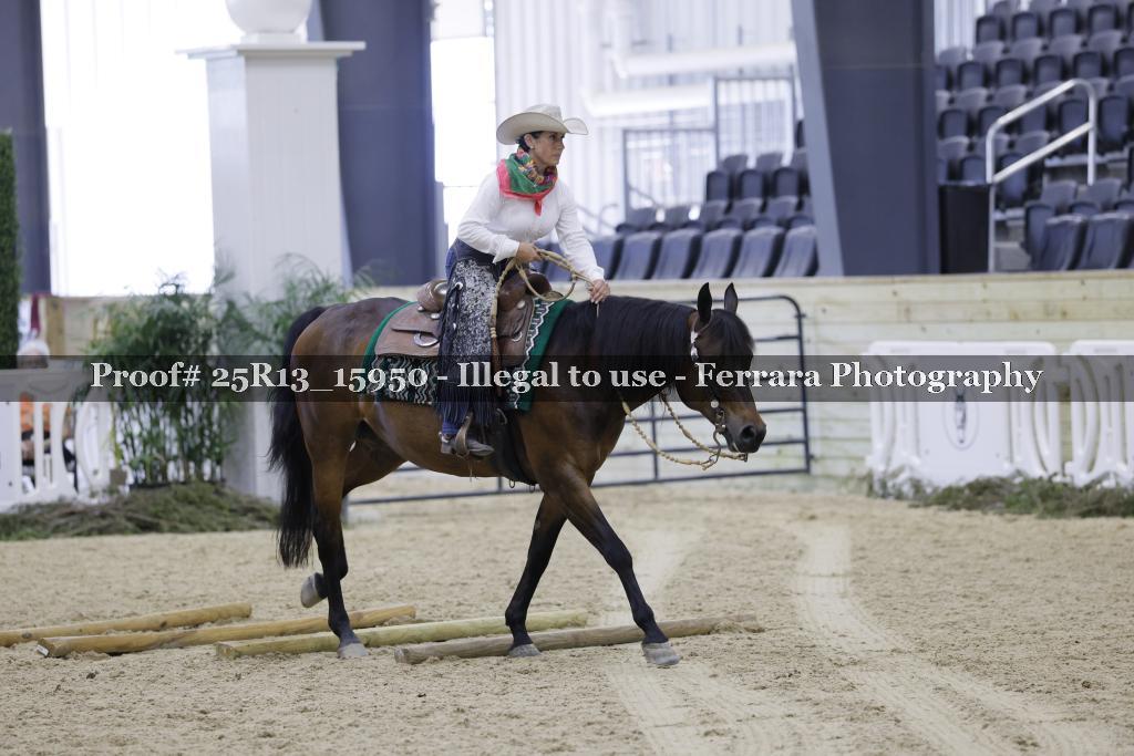Proof 25R13_15950