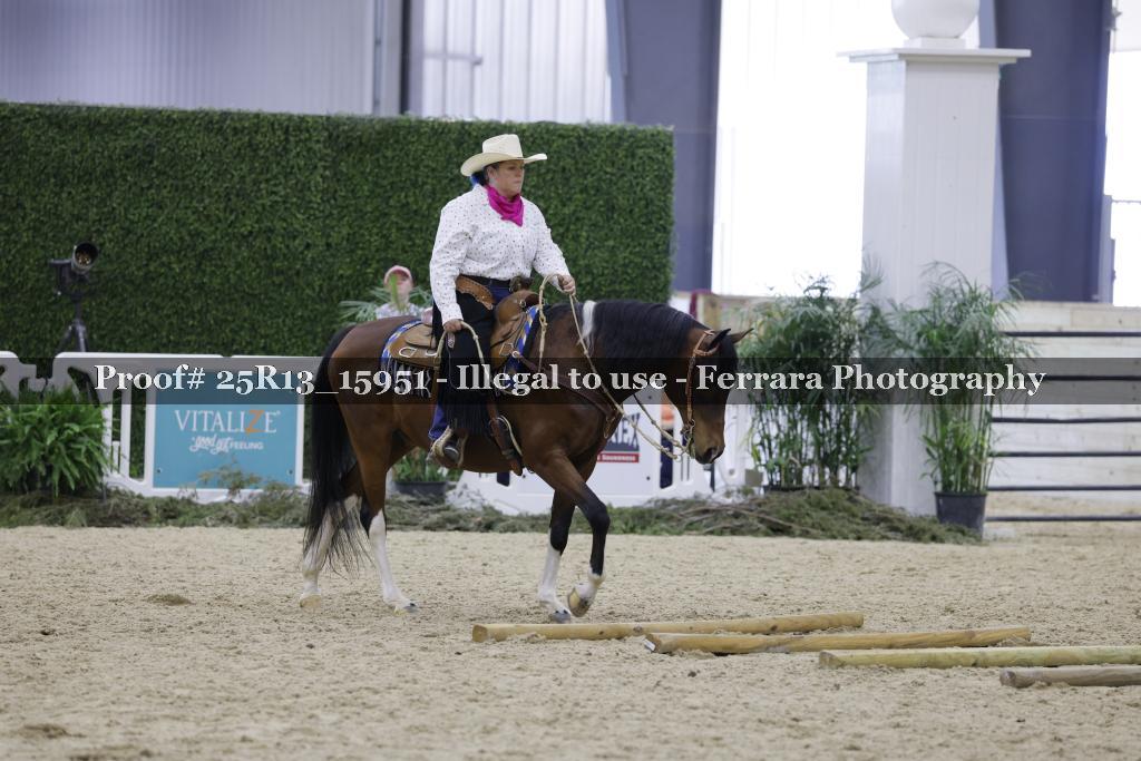 Proof 25R13_15951
