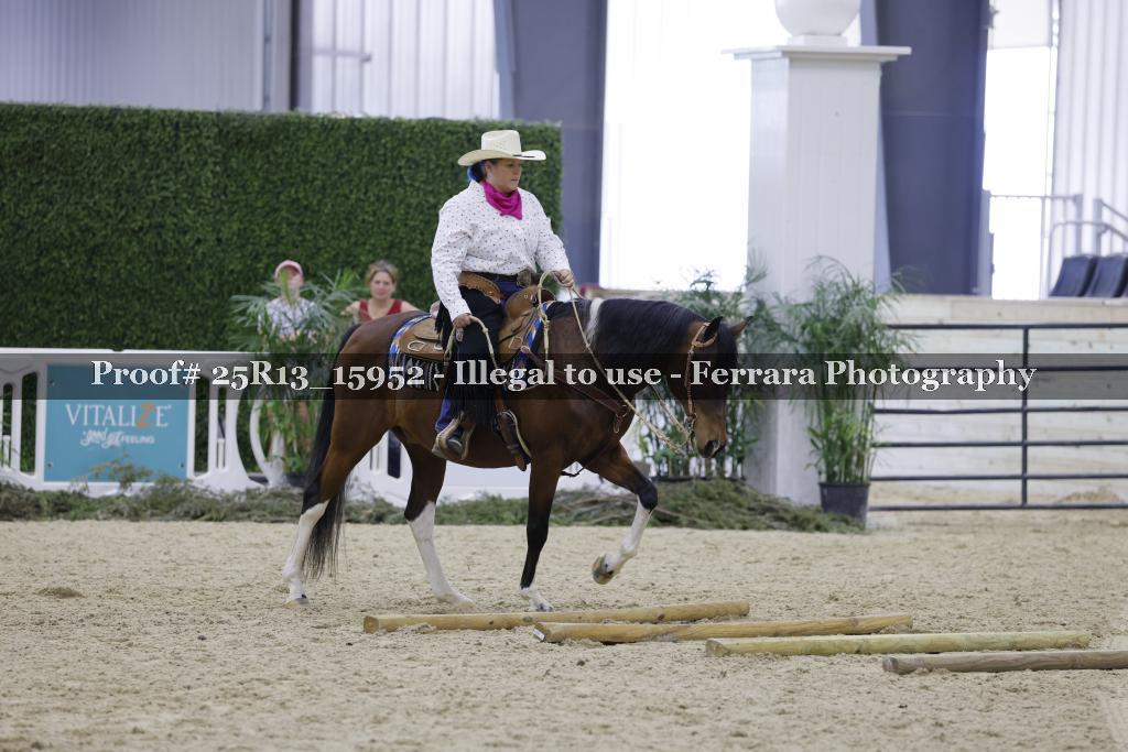 Proof 25R13_15952