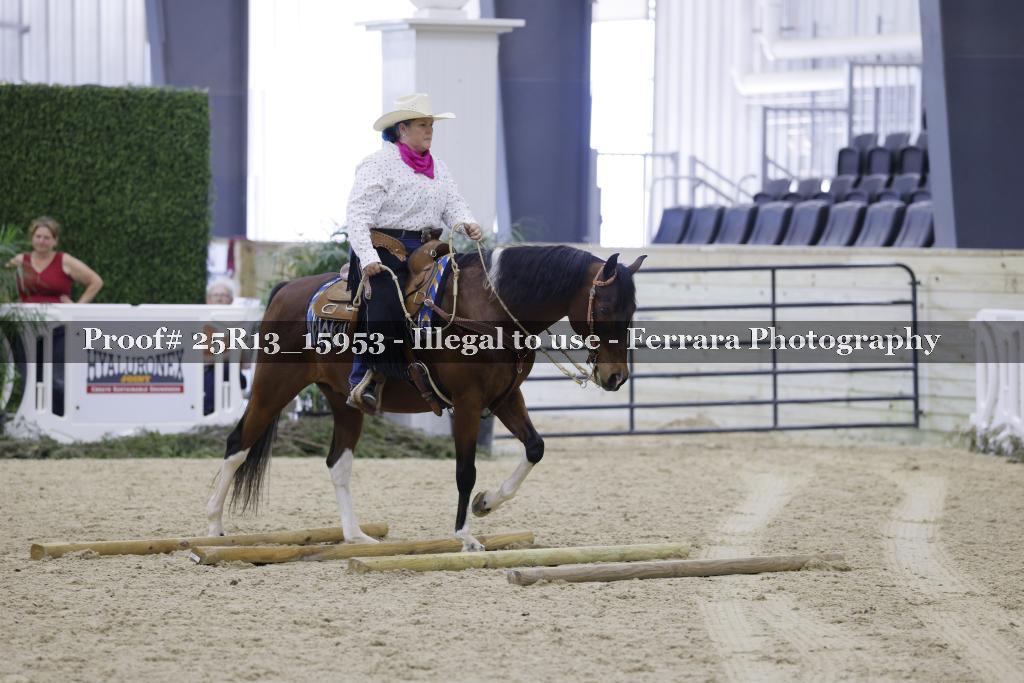 Proof 25R13_15953