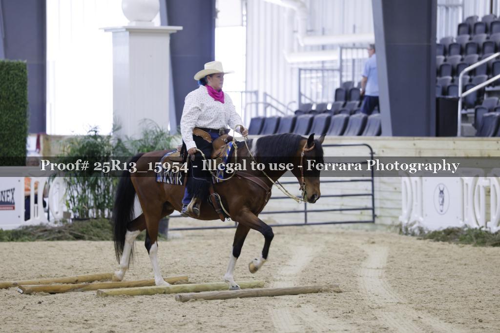 Proof 25R13_15954