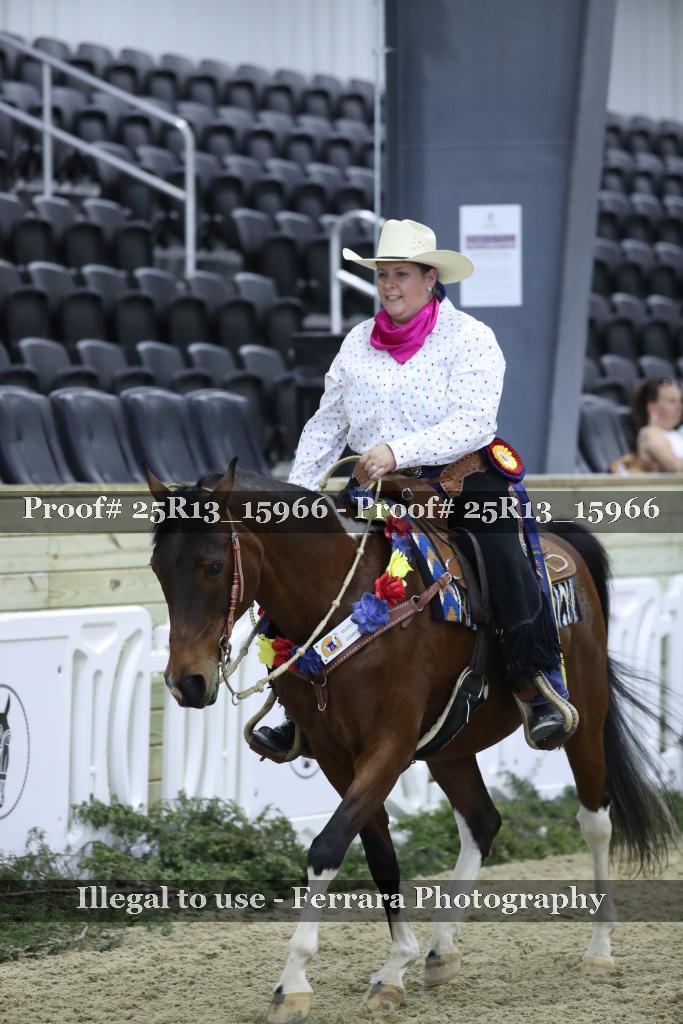 Proof 25R13_15966
