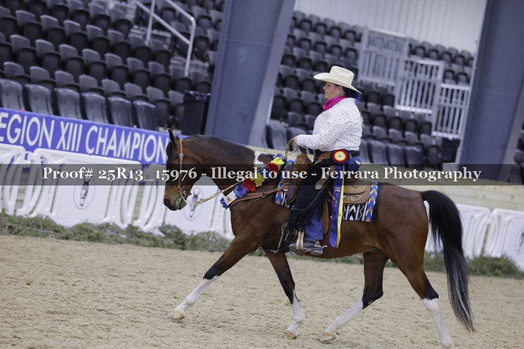 Proof 25R13_15976