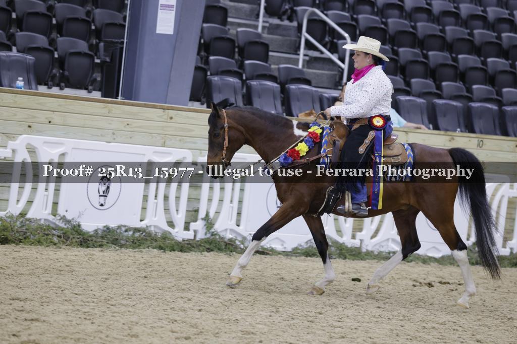 Proof 25R13_15977