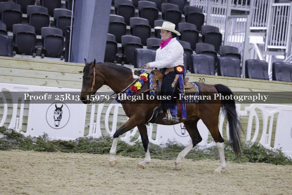 Proof 25R13_15979