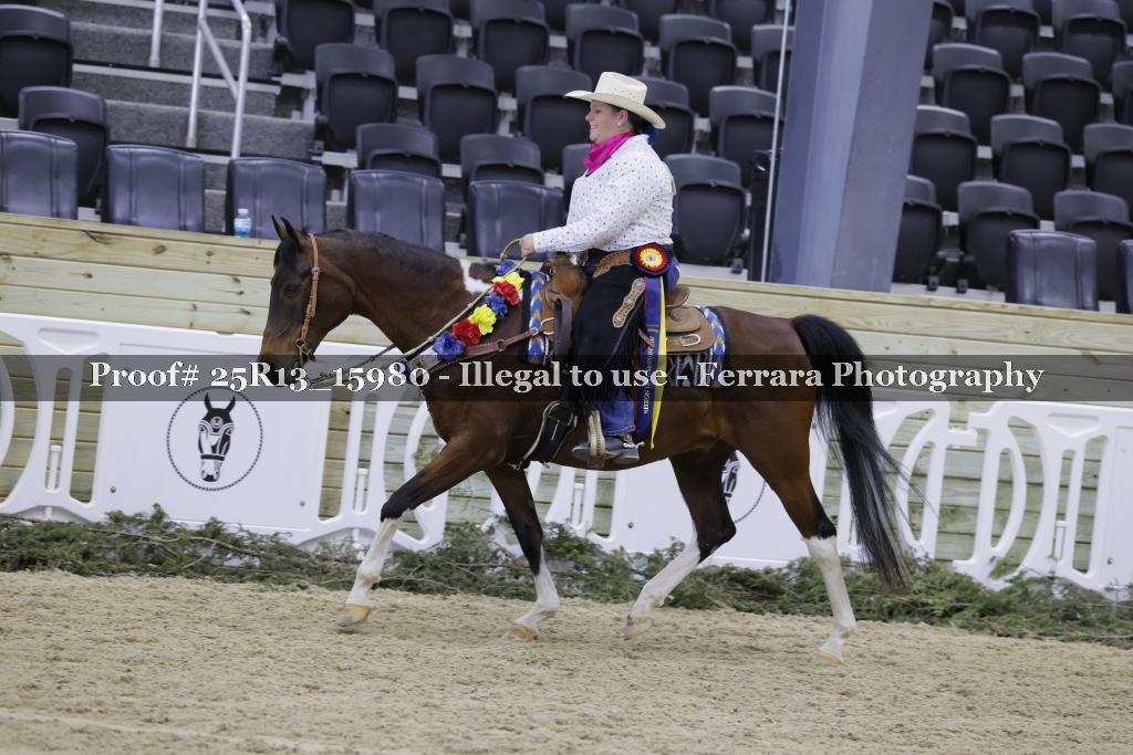 Proof 25R13_15980