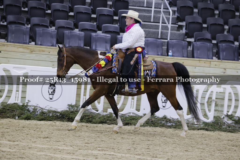 Proof 25R13_15981