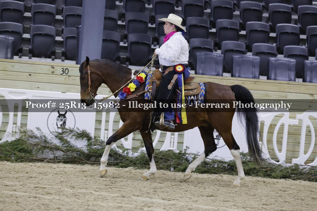 Proof 25R13_15982