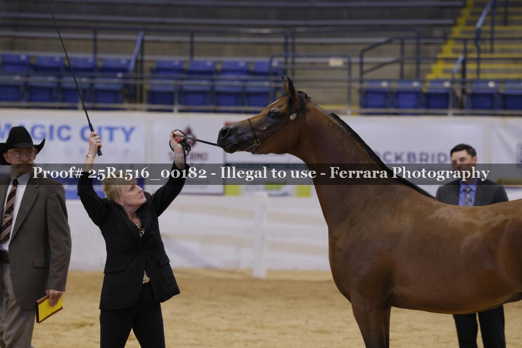 Proof 25R1516_00182