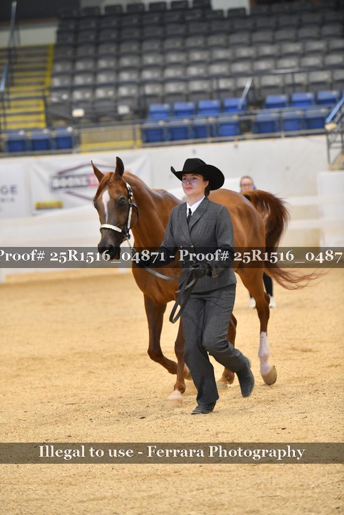 Proof 25R1516_04871