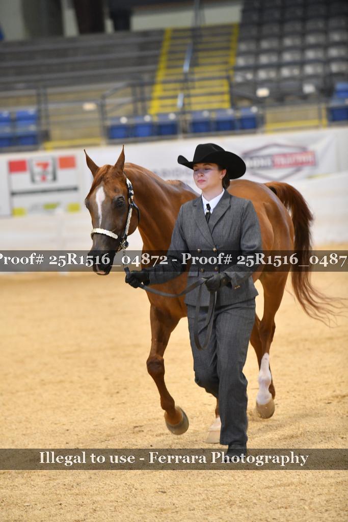 Proof 25R1516_04872