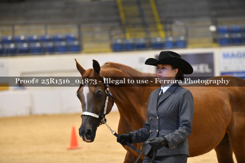 Proof 25R1516_04873