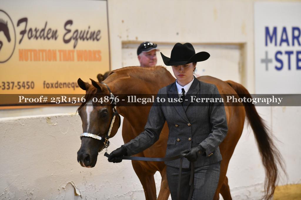 Proof 25R1516_04876