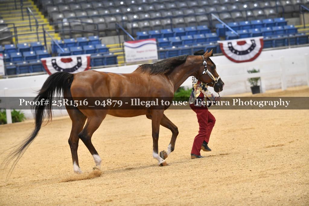 Proof 25R1516_04879