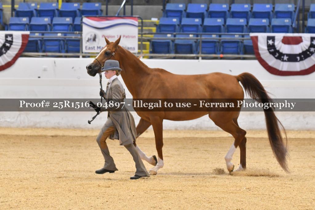 Proof 25R1516_04897