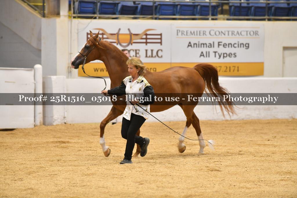 Proof 25R1516_05018