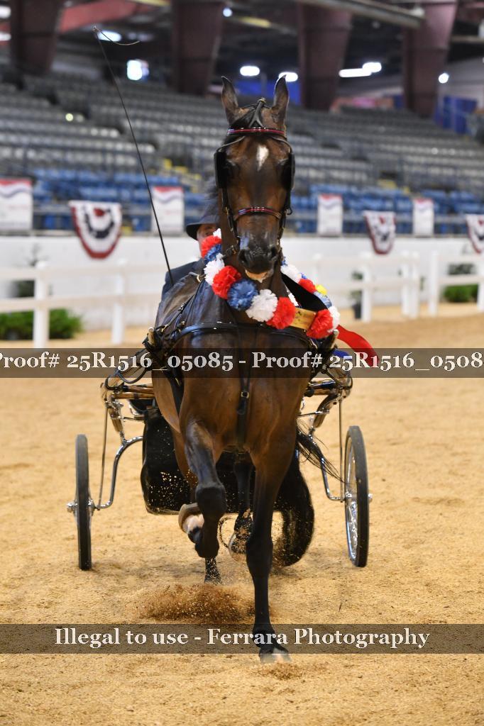 Proof 25R1516_05085