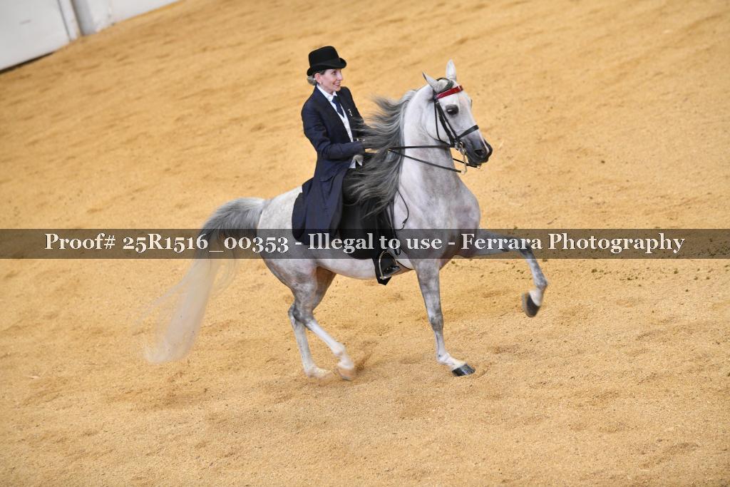 Proof 25R1516_00353