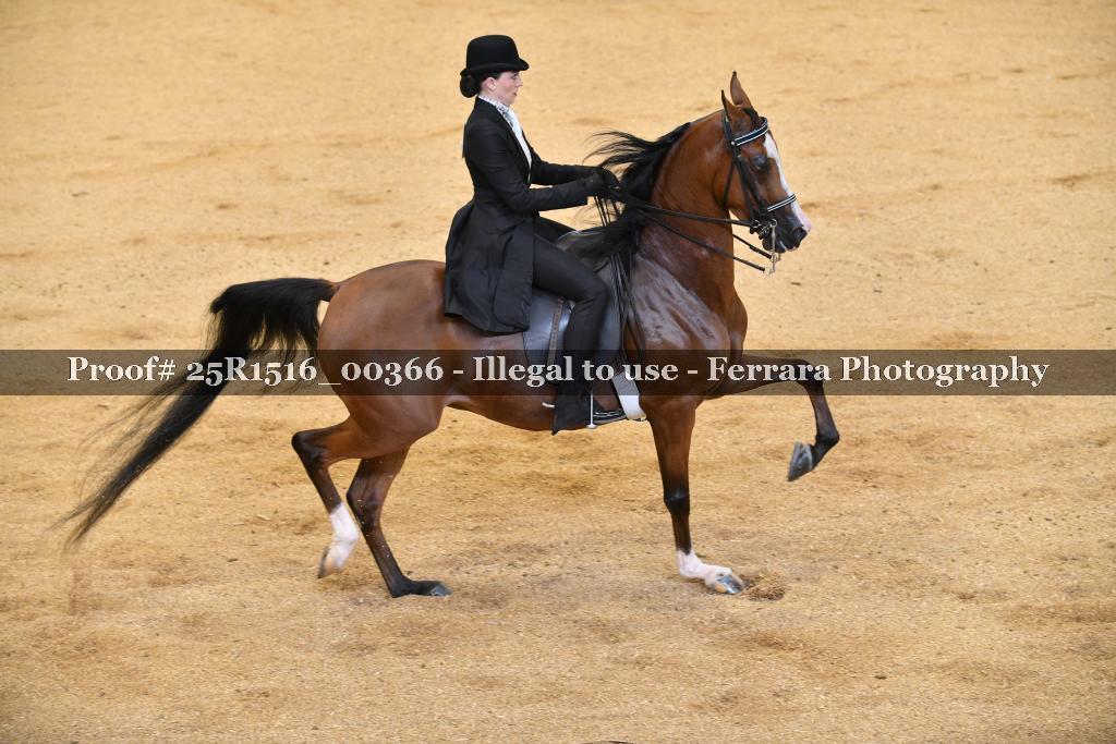 Proof 25R1516_00366