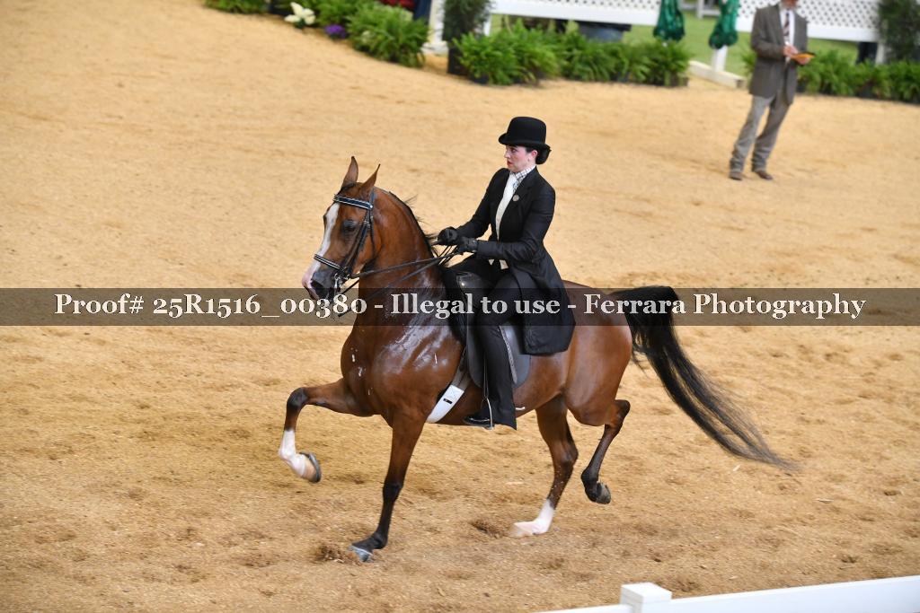 Proof 25R1516_00380