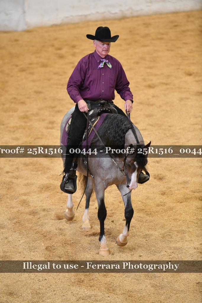 Proof 25R1516_00444