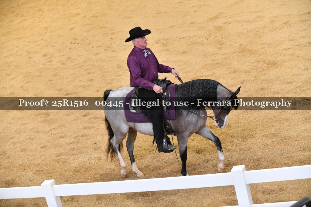 Proof 25R1516_00445