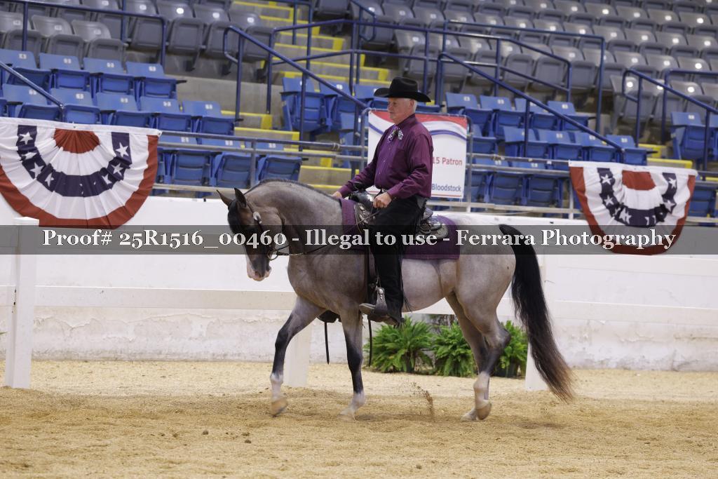 Proof 25R1516_00460