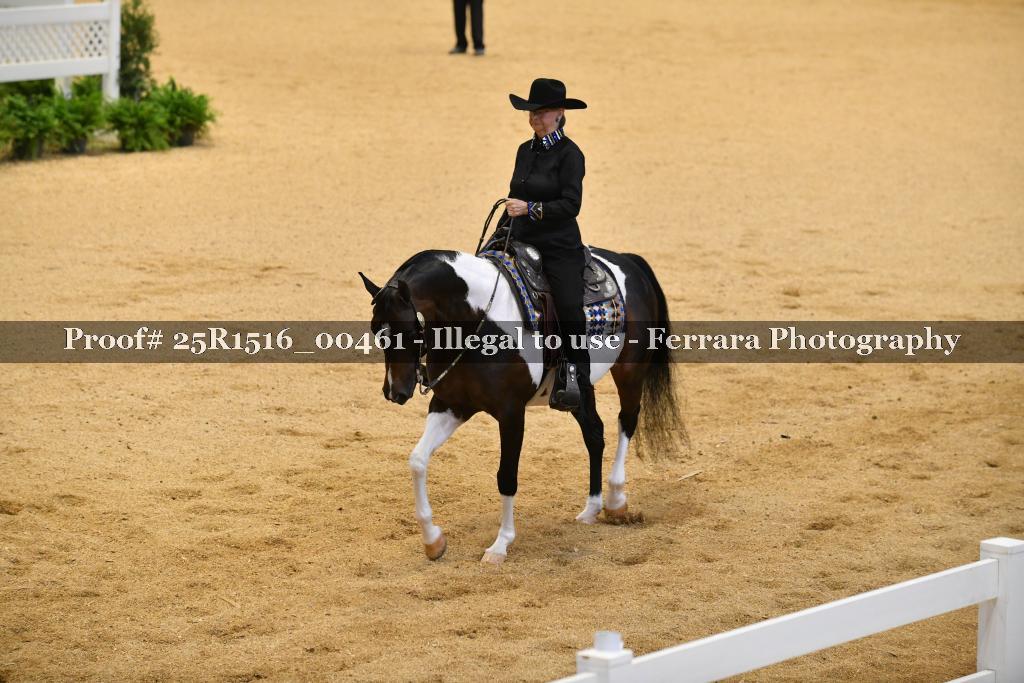Proof 25R1516_00461