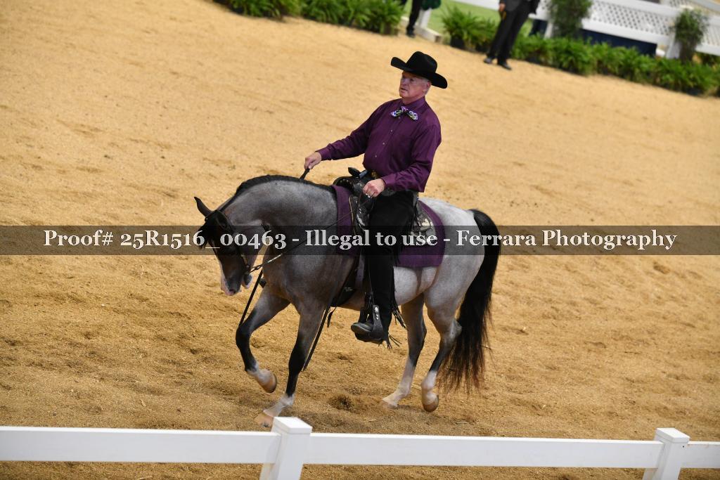 Proof 25R1516_00463
