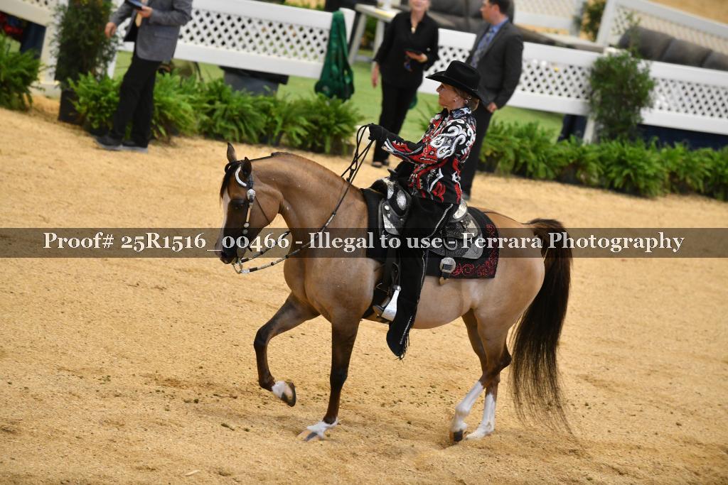 Proof 25R1516_00466